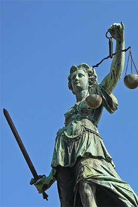 Securities Expert Witness